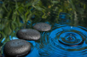 A calm scene showing a lake with ripples and stones.