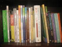 Image of books in bookcase.