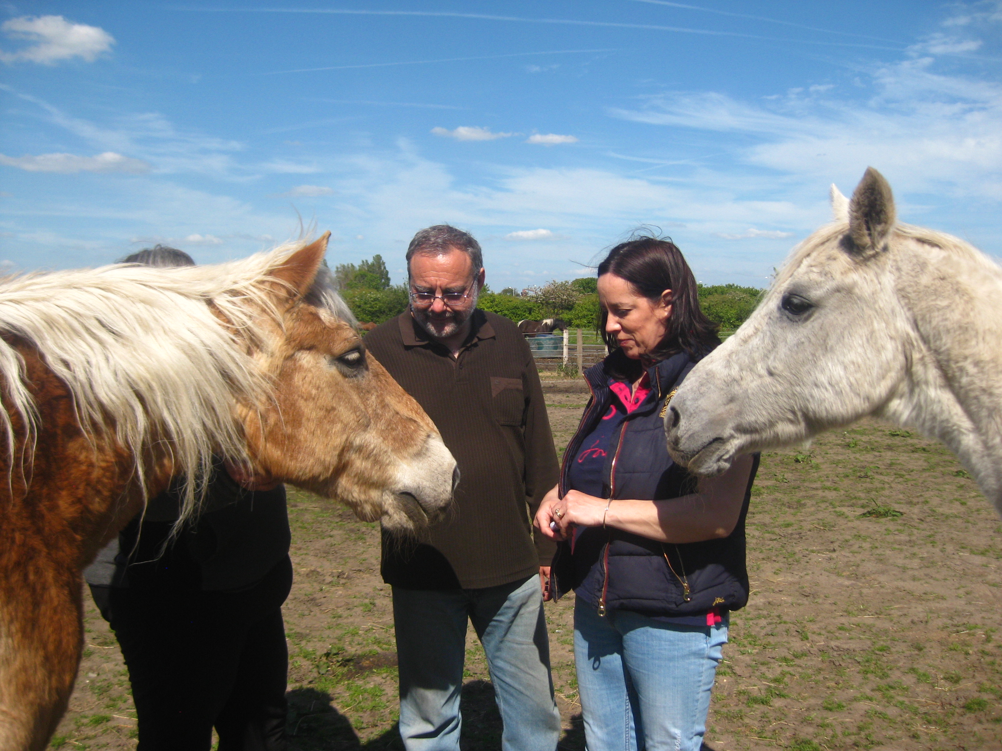 Image of equine-assisted therapy session.