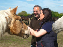 Image of equine-assisted therapy session.